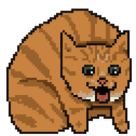 kittywizard